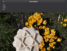 Tablet Screenshot of natanorigami.com